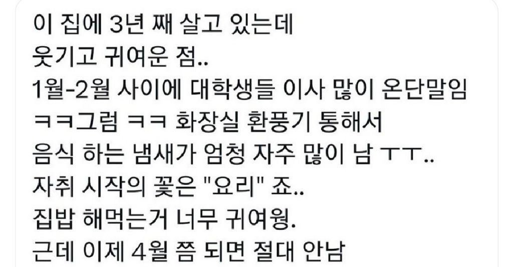 3년째 대학가에 사는 사람의 웃기고 귀여운 점