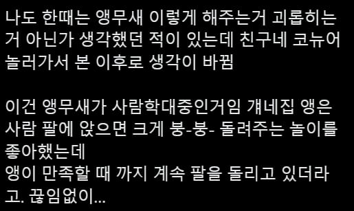앵무새 학대 영상