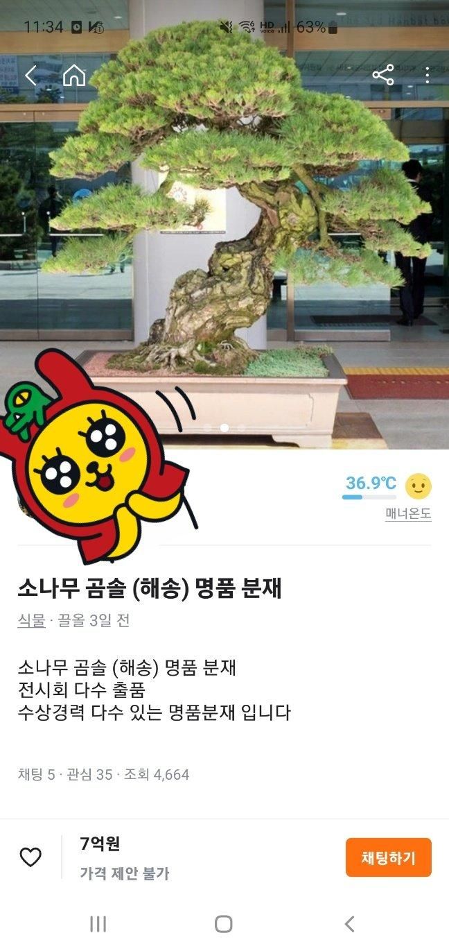 당근에서 집 보다 비싼 나무.