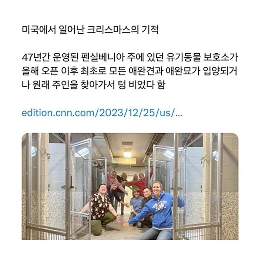 ㅈ냥이보다 갓댕이인 이유.twt