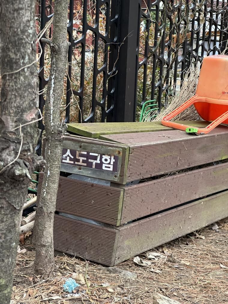 돼지는 구했음