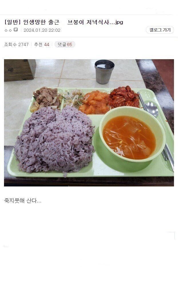 죽지 못해 산다는 직장인 저녁식사인증.jpg