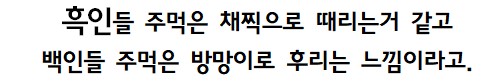 복싱 헤비급 선출이 느낀 백인과 흑인 주먹 차이.jpg