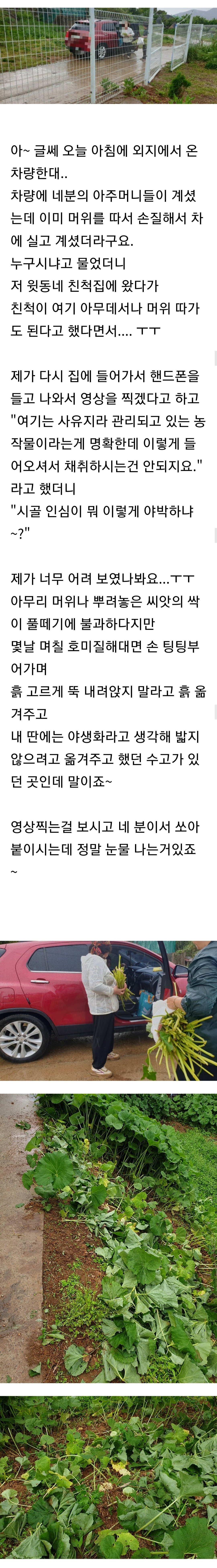 시골 인심을 강요당한 사람