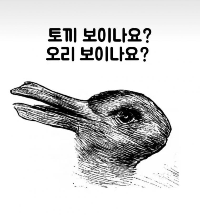 토끼가 보이나요? 오리가 보이나요?