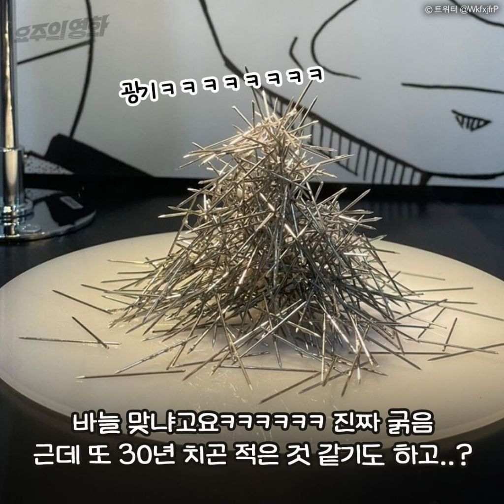 코난 개객끼가 30년간 사용한 마취침 갯수