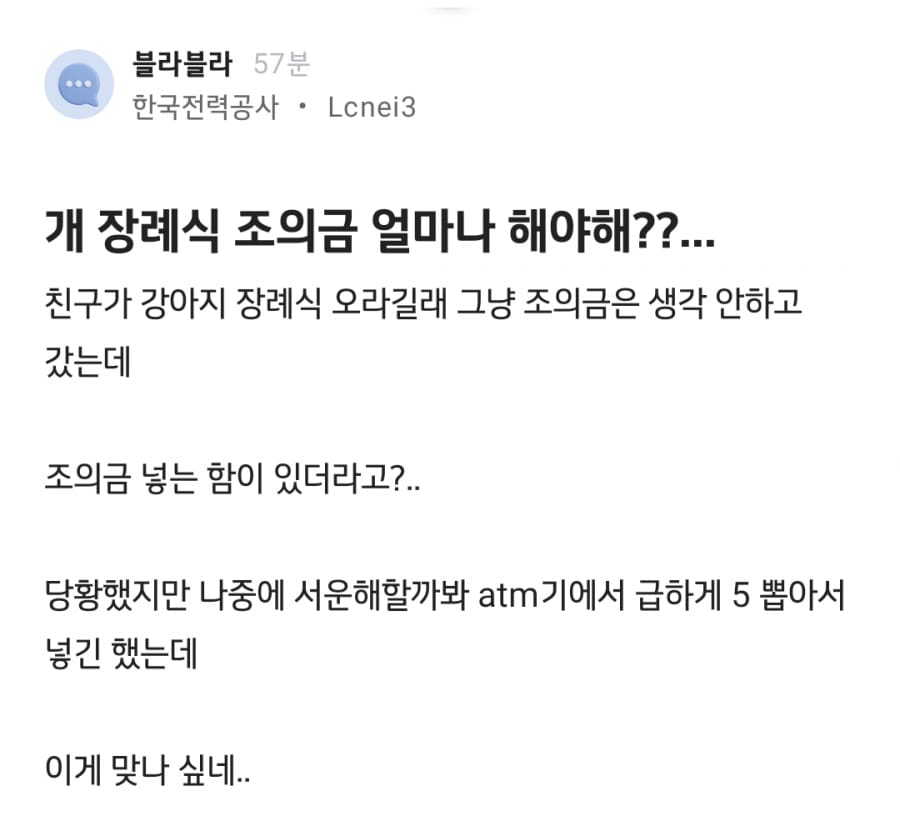 강아지 장례식 조의금 얼마나 해야해?