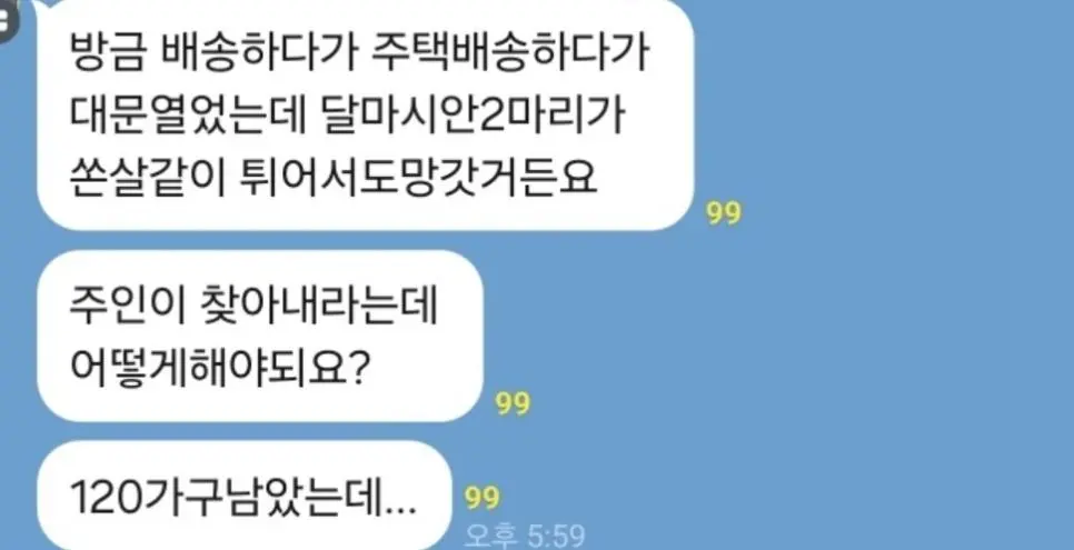 쿠팡 배송 대참사