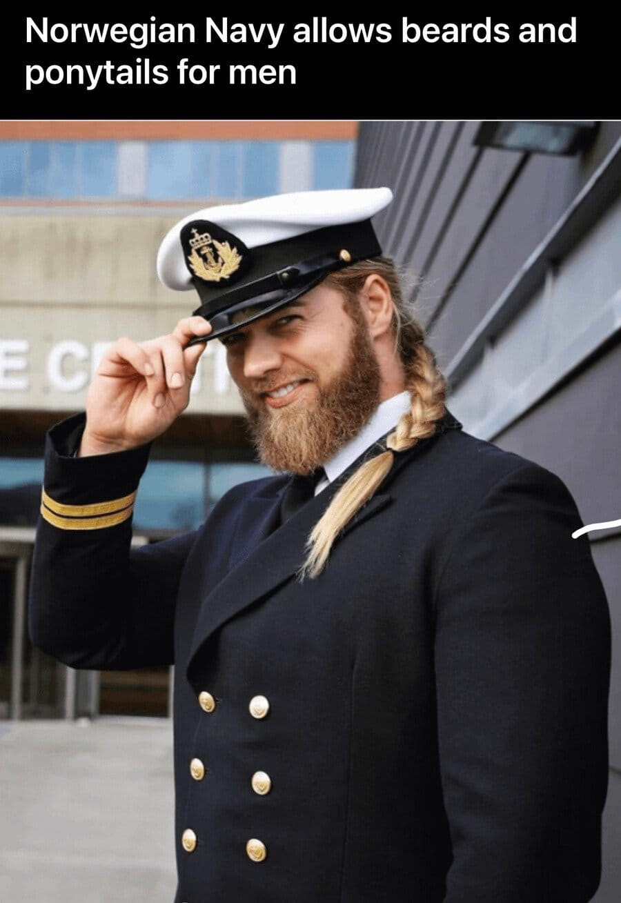 의외로 노르웨이 해군이 할 수 있는것