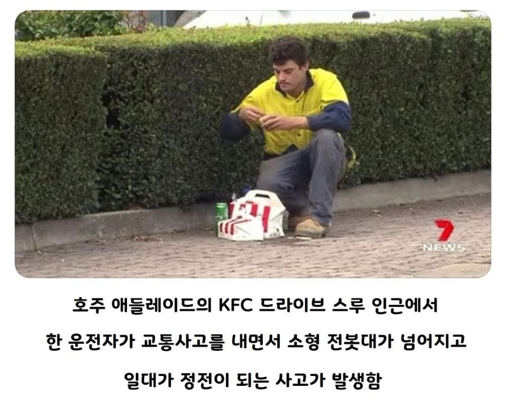 호주식 사고대응