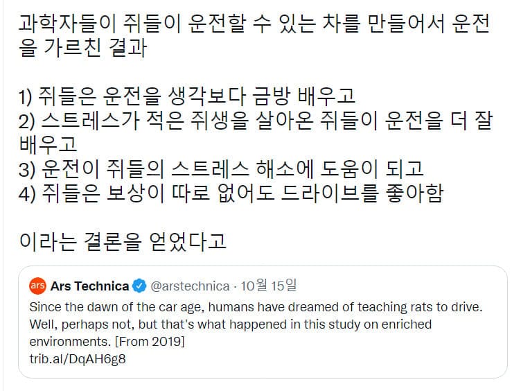 쥐 자동차 연구 결과...