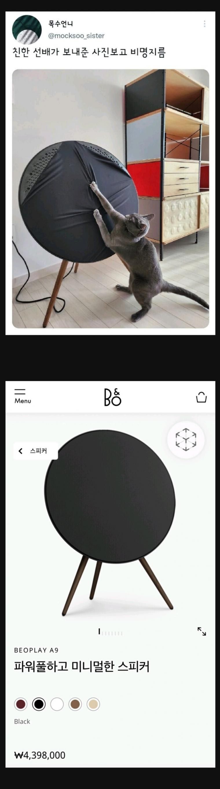 아는 사람은 기겁할 짤