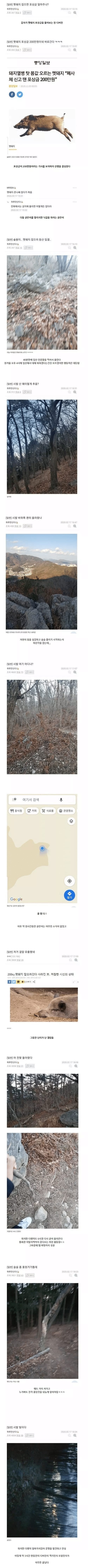 200만원 벌려다가 죽을뻔한 디시인