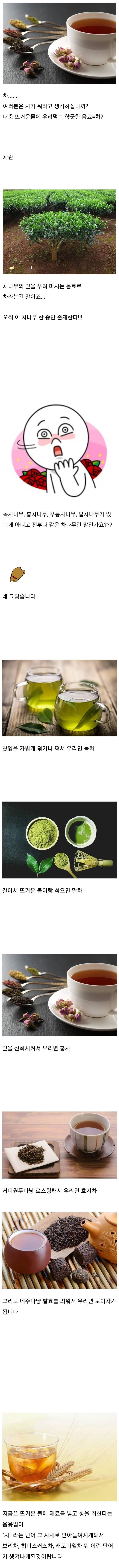 의외로 모르는 사람이 많은 차(tea)의 비밀