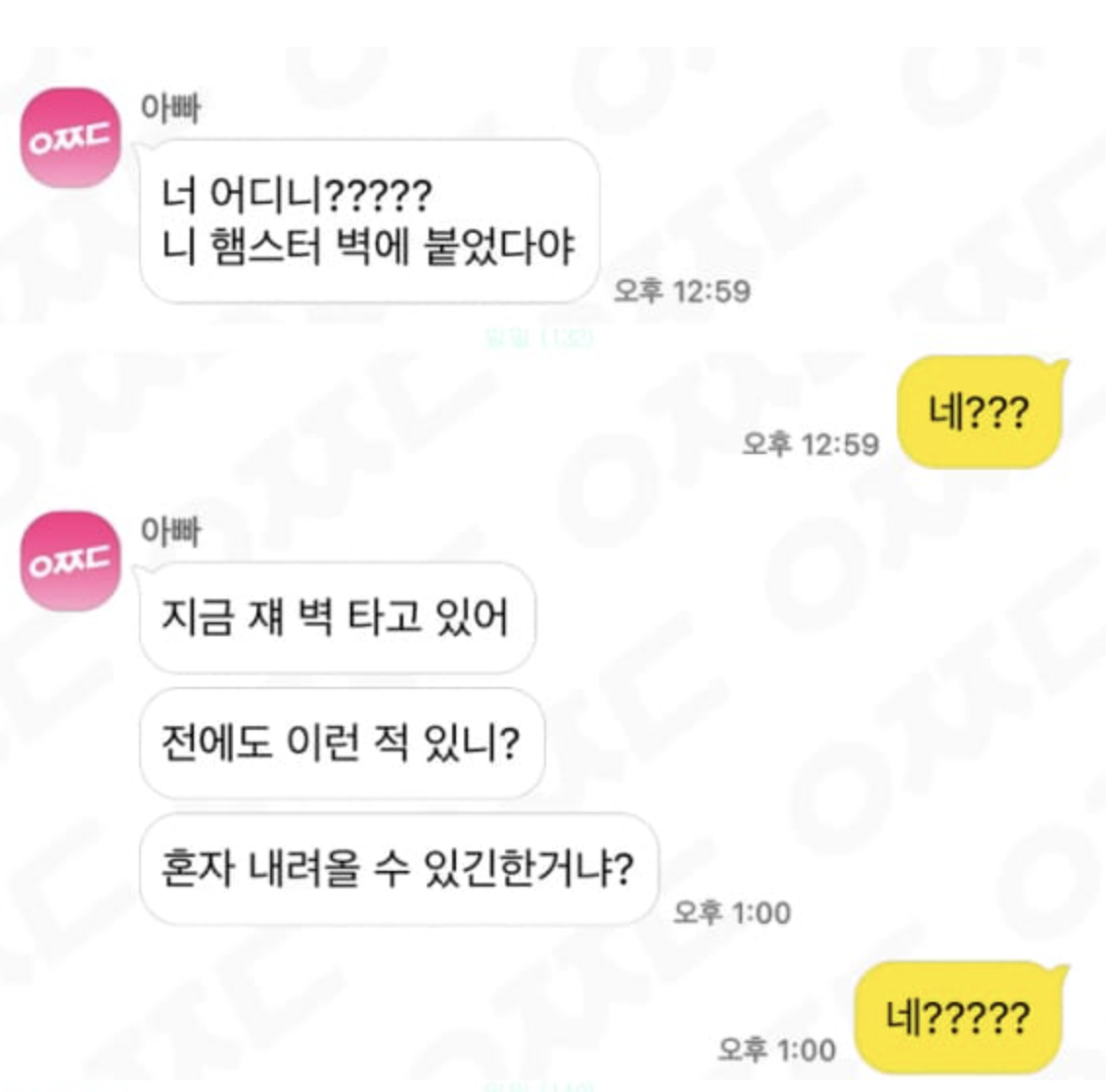 갑자기 햄스터가 벽을 탄다