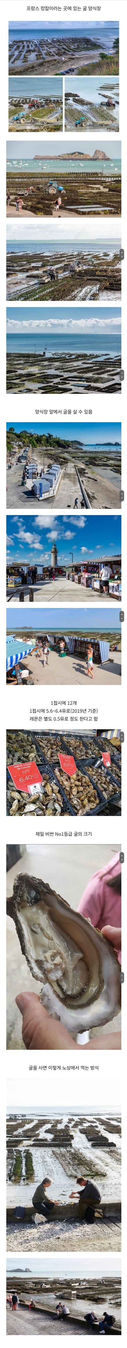 프랑스에 있는 굴 양식장 바로 앞에서 굴 사먹는 낭만.jpg