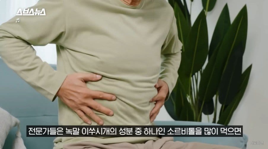 뉴스] 최근 유행이라는 녹말 이쑤시개 튀김을 걱정하는 업체….jpg