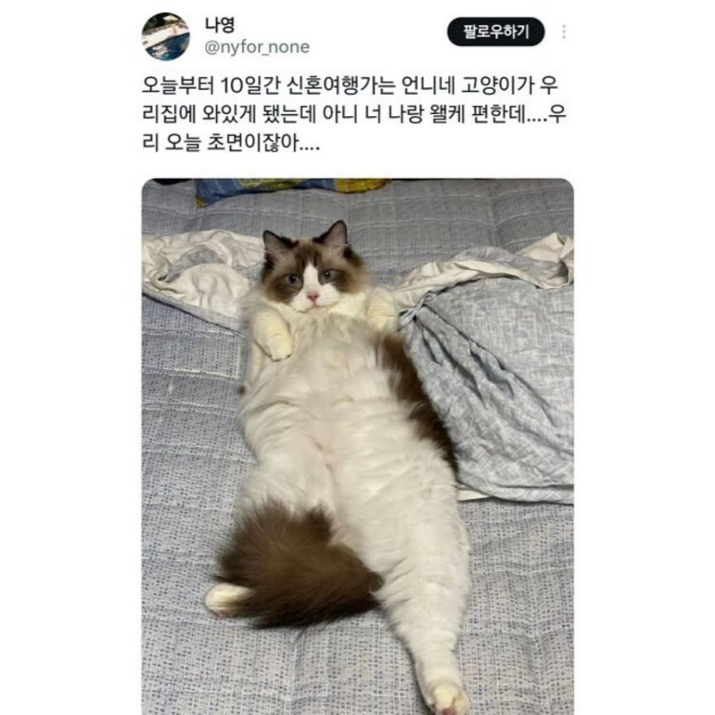 얘 나랑 초면인데...