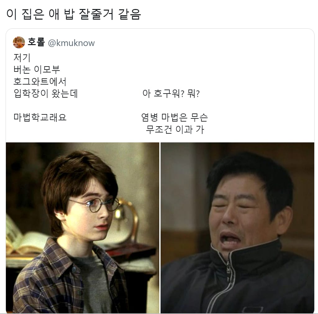 현재 덕후들 사이에서 유행하는 응답하라 해리포터.X