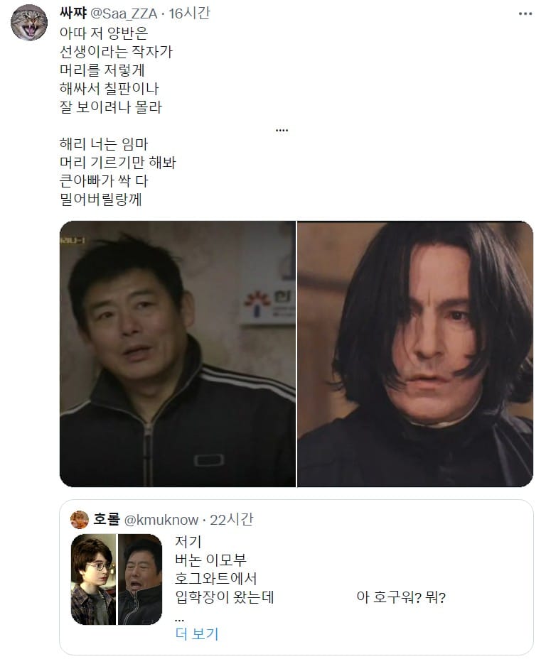 현재 덕후들 사이에서 유행하는 응답하라 해리포터.X