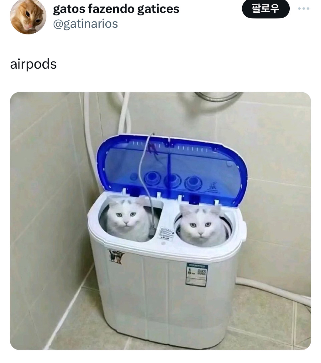 에어팟 북슬에디션