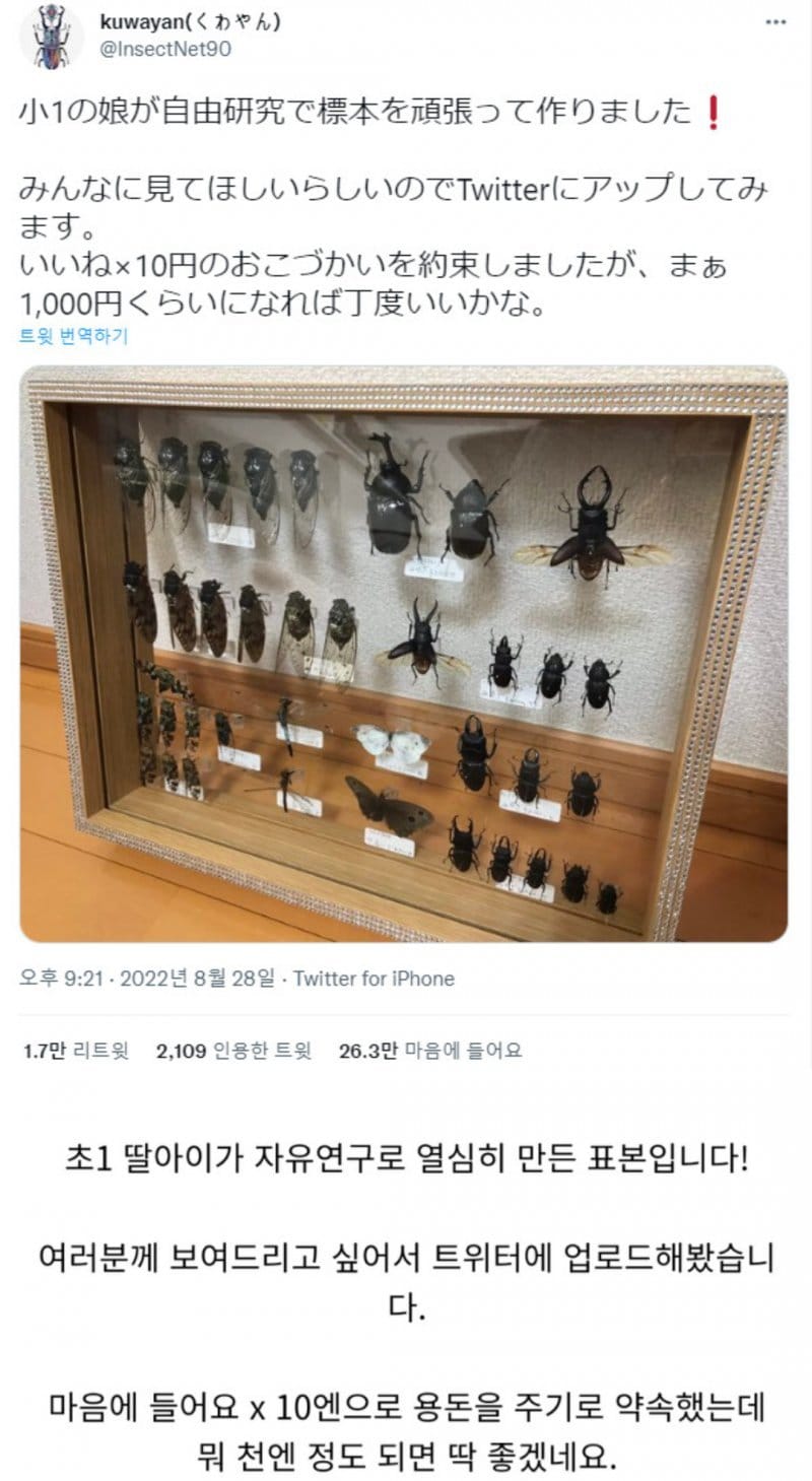 용돈 2600만원 초등학생