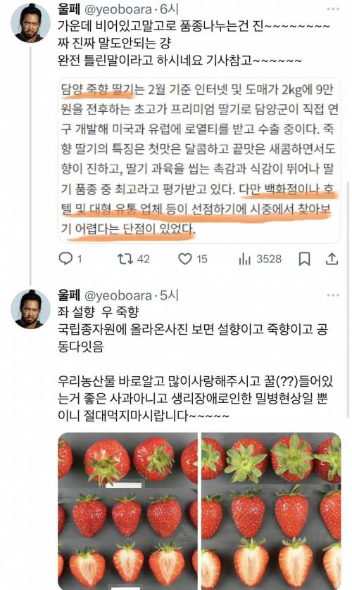 딸기 꼭 반으로 잘라서 먹어야하는 이유