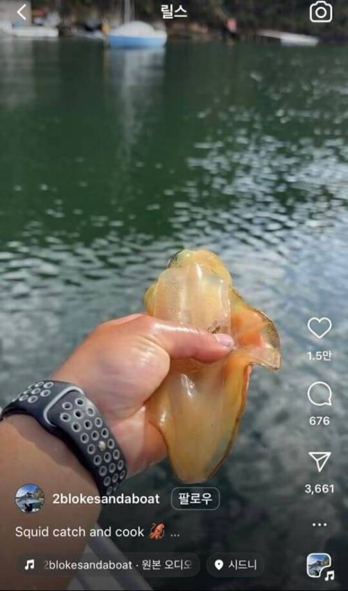 요트에서 낚은 오징어 해물라면 인증하는 사람.jpg