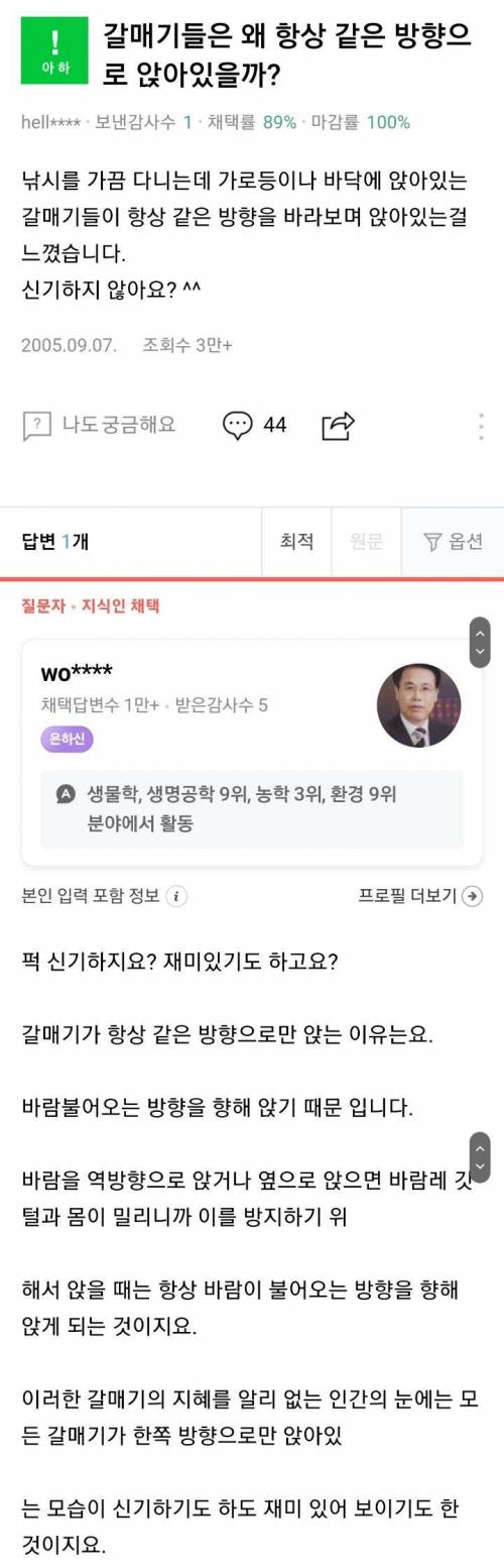 갈매기들은 왜 같은 방향으로만 앉아있나요?