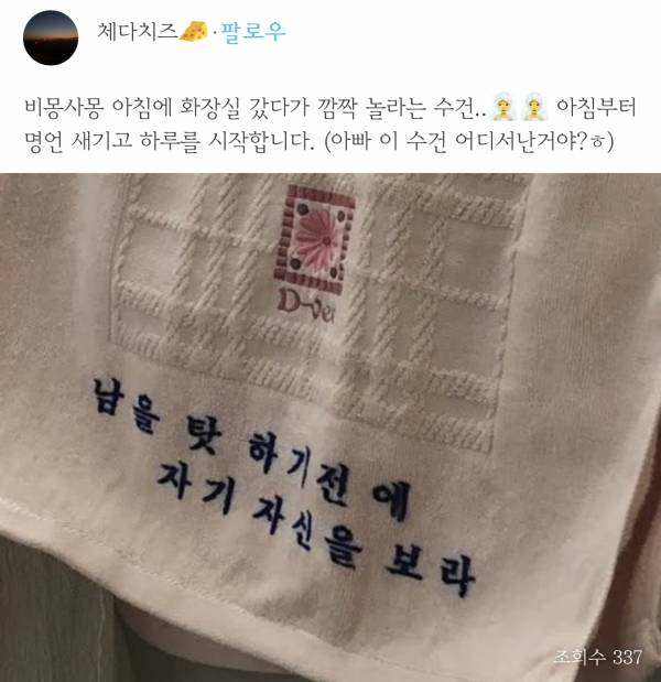 오늘의집에서 한 수상한 수건 대회