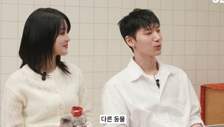 태국 공원에서 볼 수 있는 태국의 길고양이같은 동물...jpg