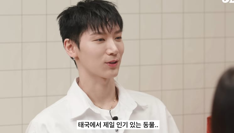 태국 공원에서 볼 수 있는 태국의 길고양이같은 동물...jpg