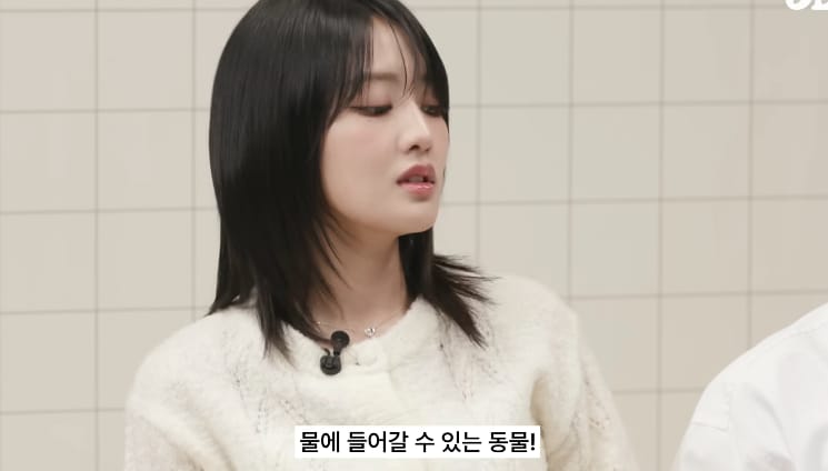 태국 공원에서 볼 수 있는 태국의 길고양이같은 동물...jpg