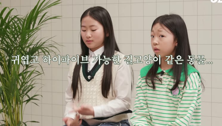 태국 공원에서 볼 수 있는 태국의 길고양이같은 동물...jpg