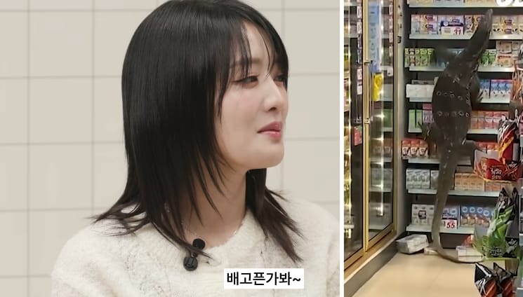 태국 공원에서 볼 수 있는 태국의 길고양이같은 동물...jpg