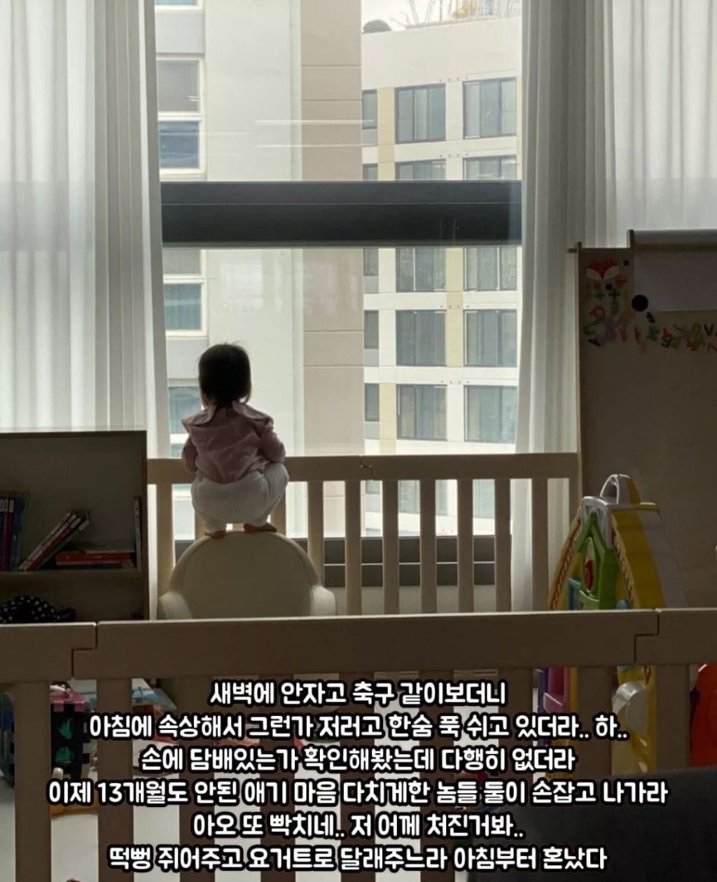 새벽축구 보고 심란해진 애기