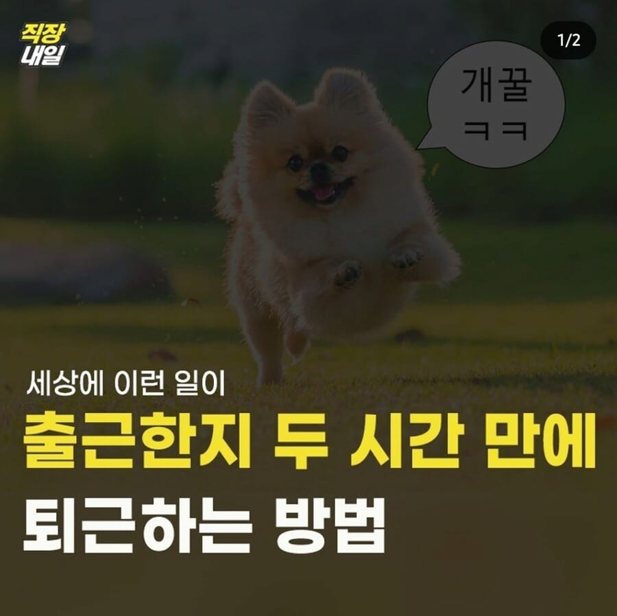 출근한 지 두시간만에 퇴근하는 방법