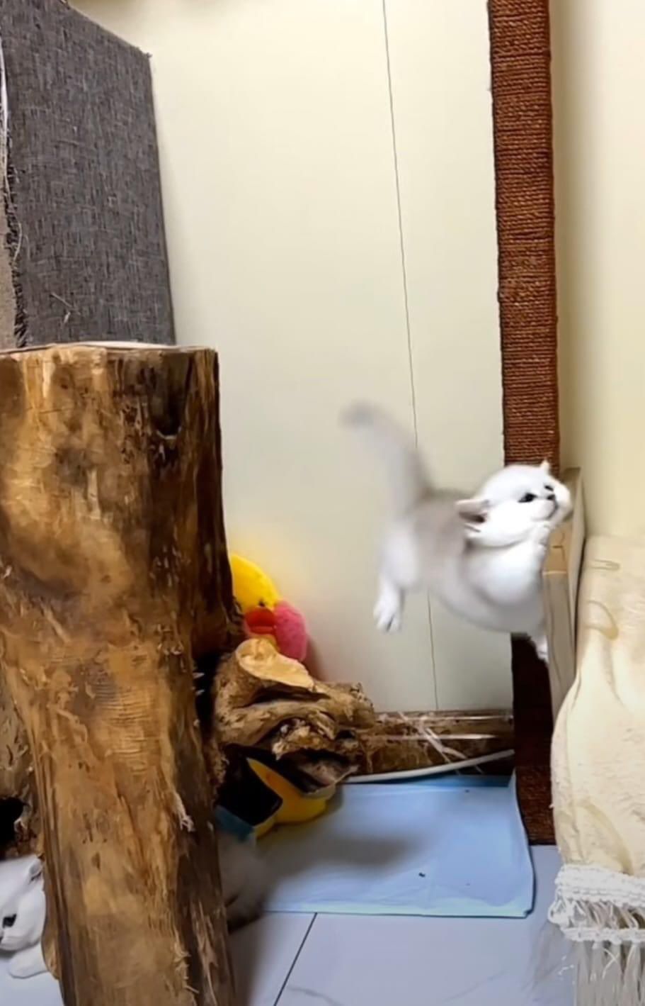 <(◞‸◟)>