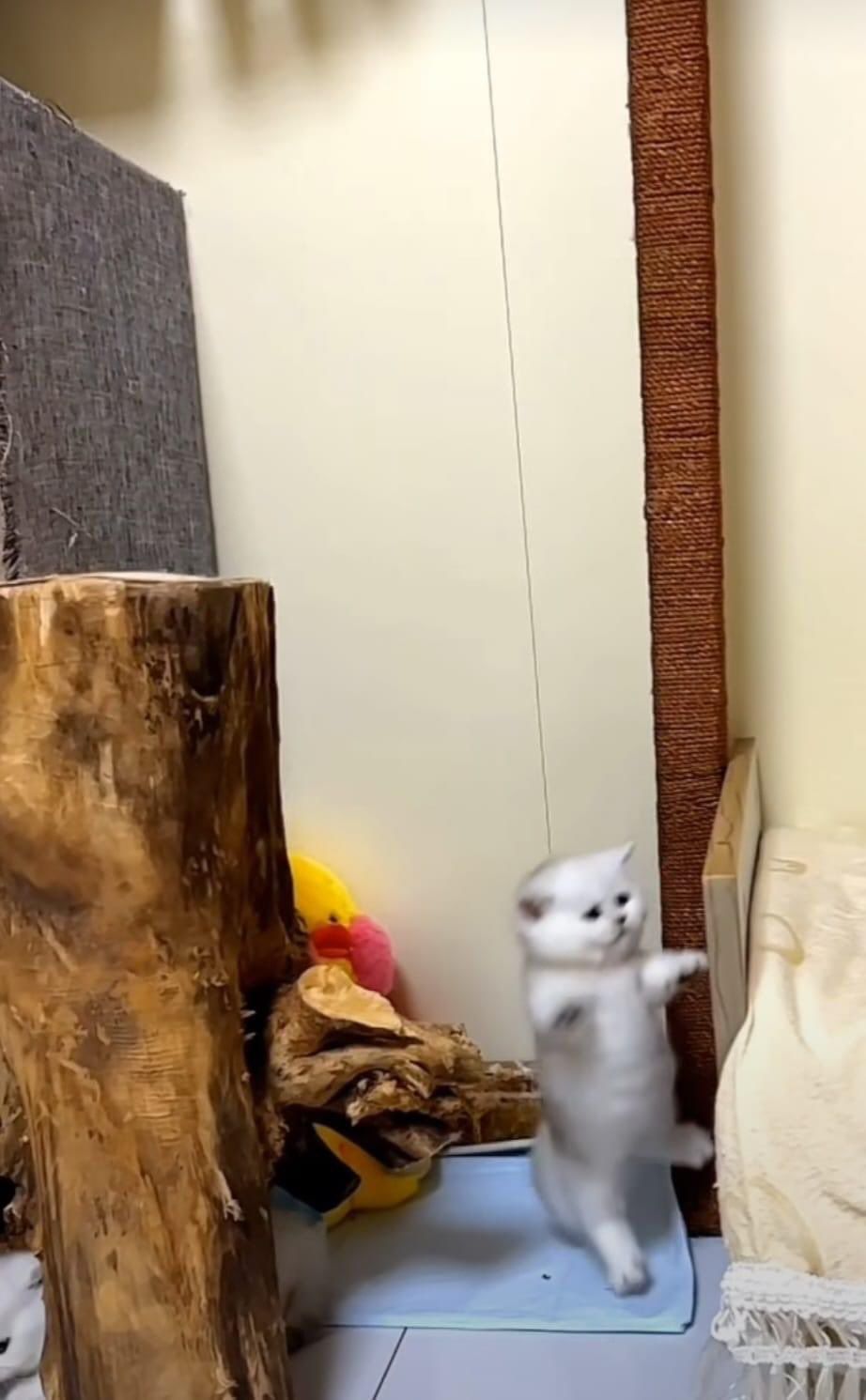 <(◞‸◟)>