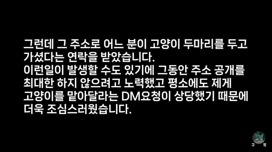 고양이 여럿 키우는 유튜버에게 구독자가 주고 간 선물.jpg