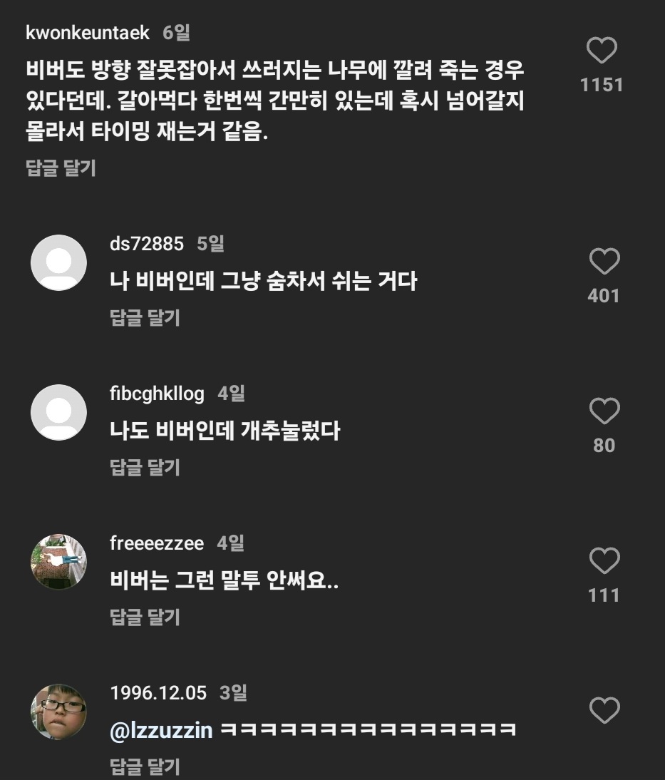 비버가 나무를 쓰러뜨리는 영상과 영상의 댓글