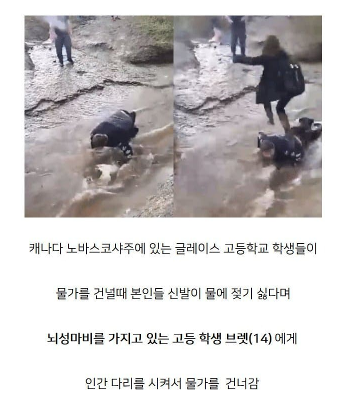 차원이 다른 캐나다 학폭 수준