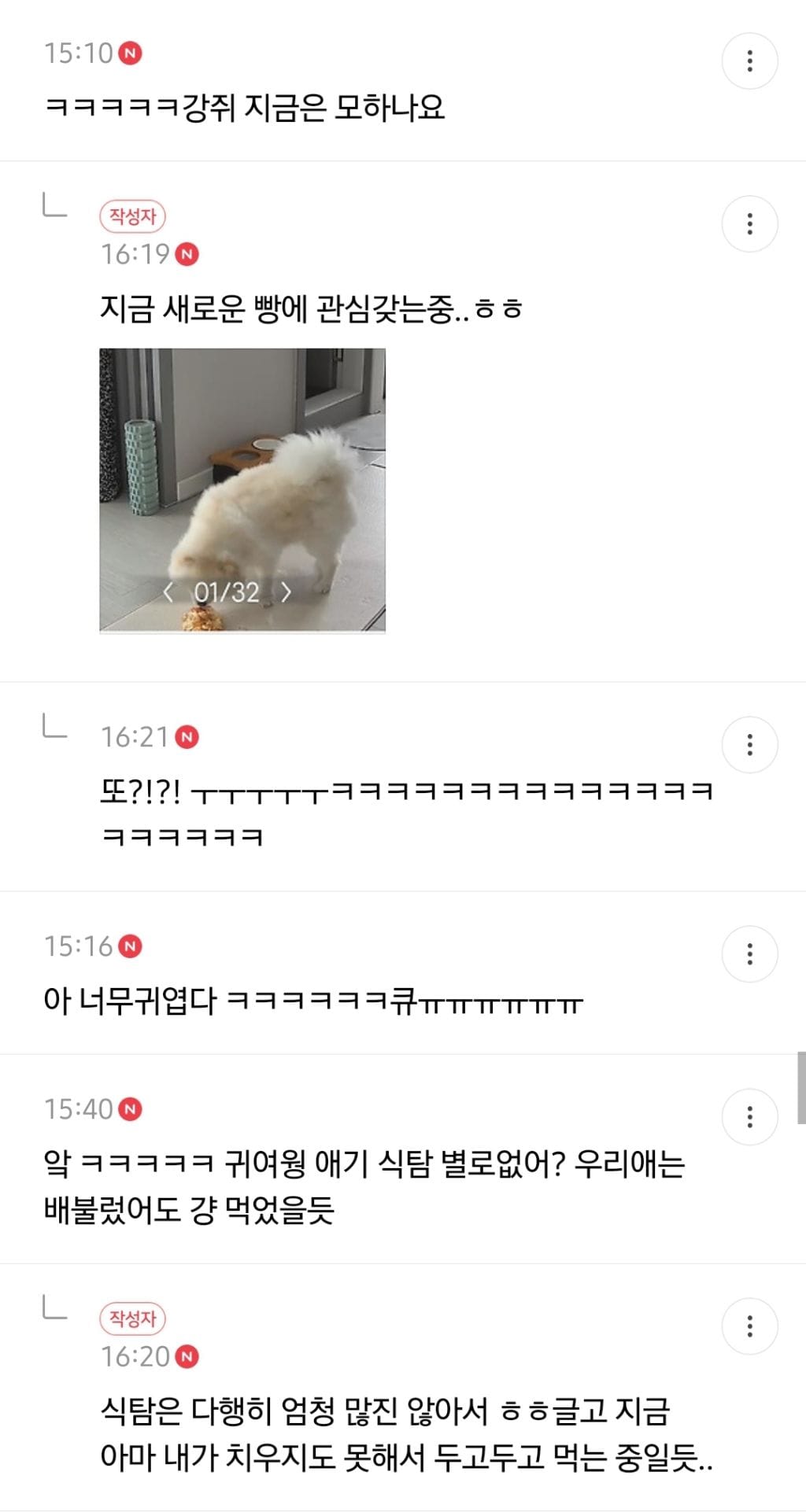 회사에서 일하다가 집 cctv보고 반차쓸뻔한 사람