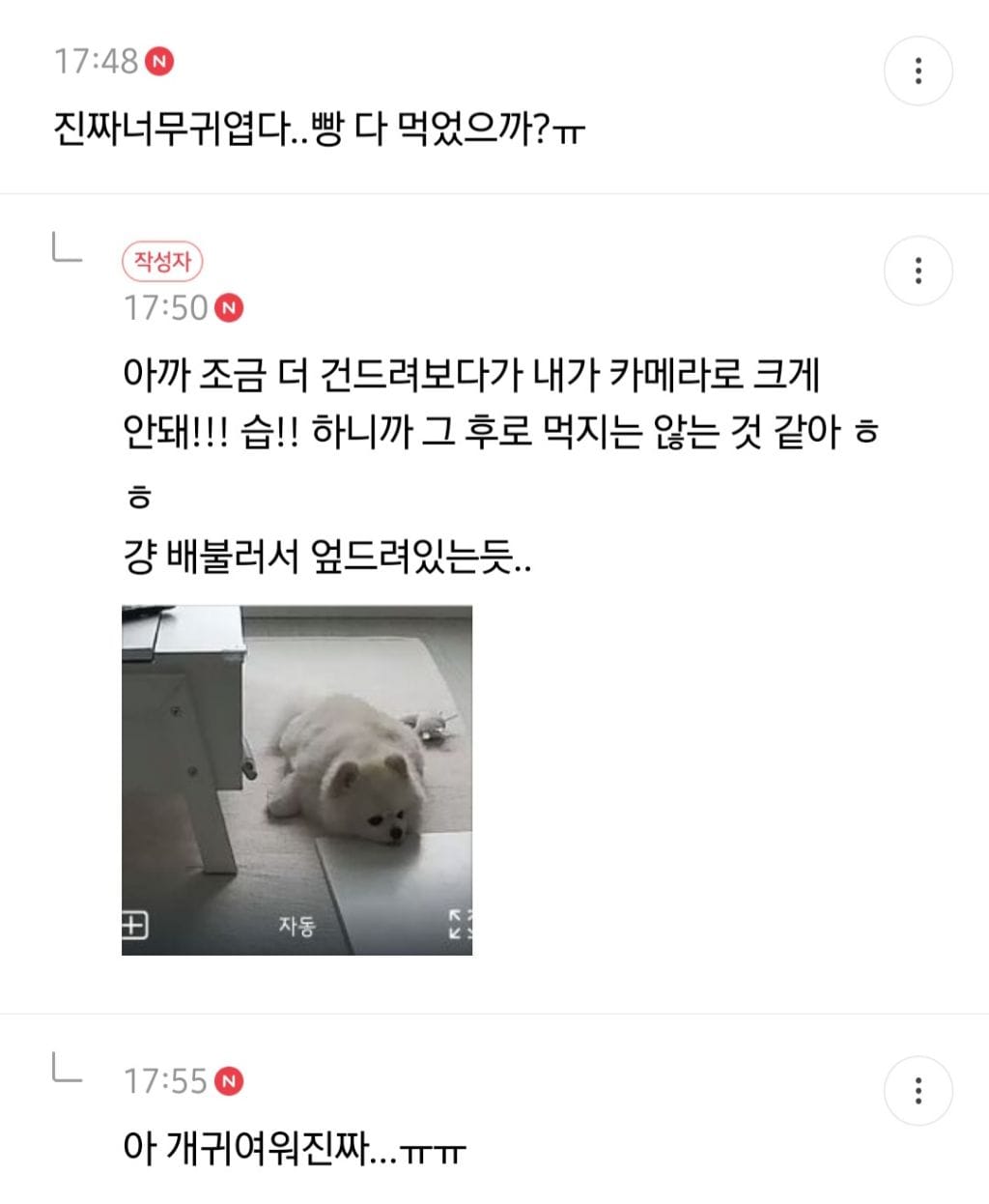 회사에서 일하다가 집 cctv보고 반차쓸뻔한 사람