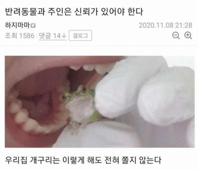 반려동물과 주인은 신뢰가 있어야 한다