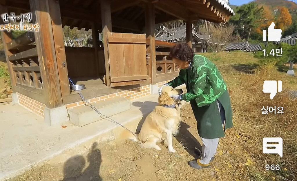 개집이 이정도는 되어야 개를 사랑한다는 생각이 들어요