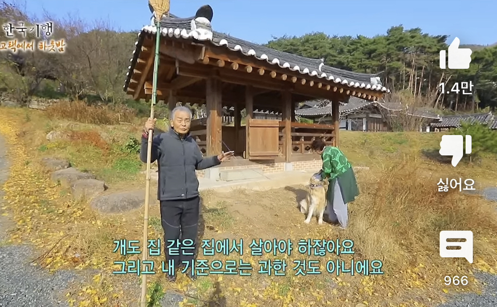 개집이 이정도는 되어야 개를 사랑한다는 생각이 들어요