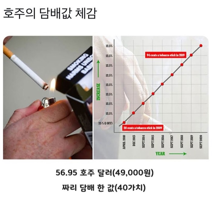 호주에서 담배한갑의 가치.jpg