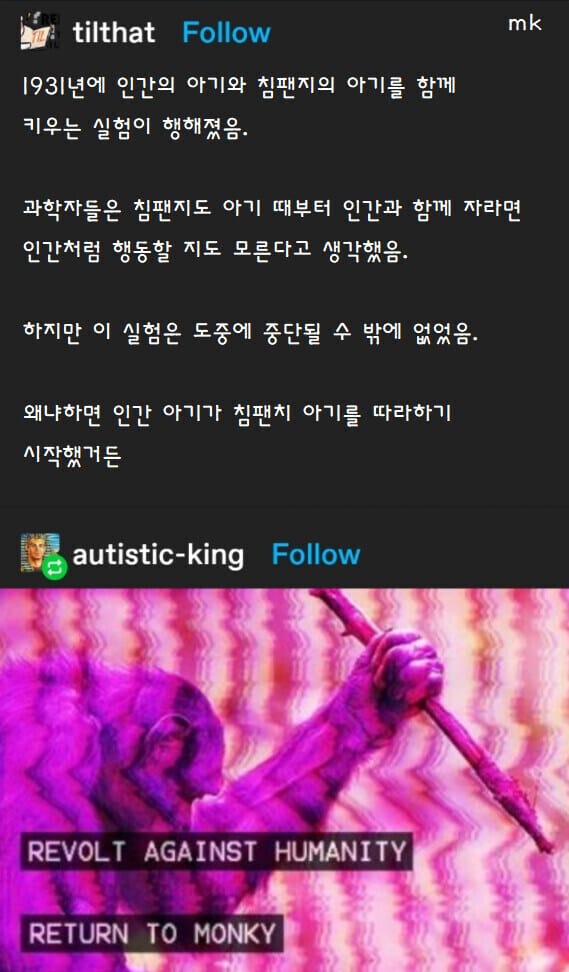 침팬지를 인간처럼 만드는 실험이 실패한 이유.jpg