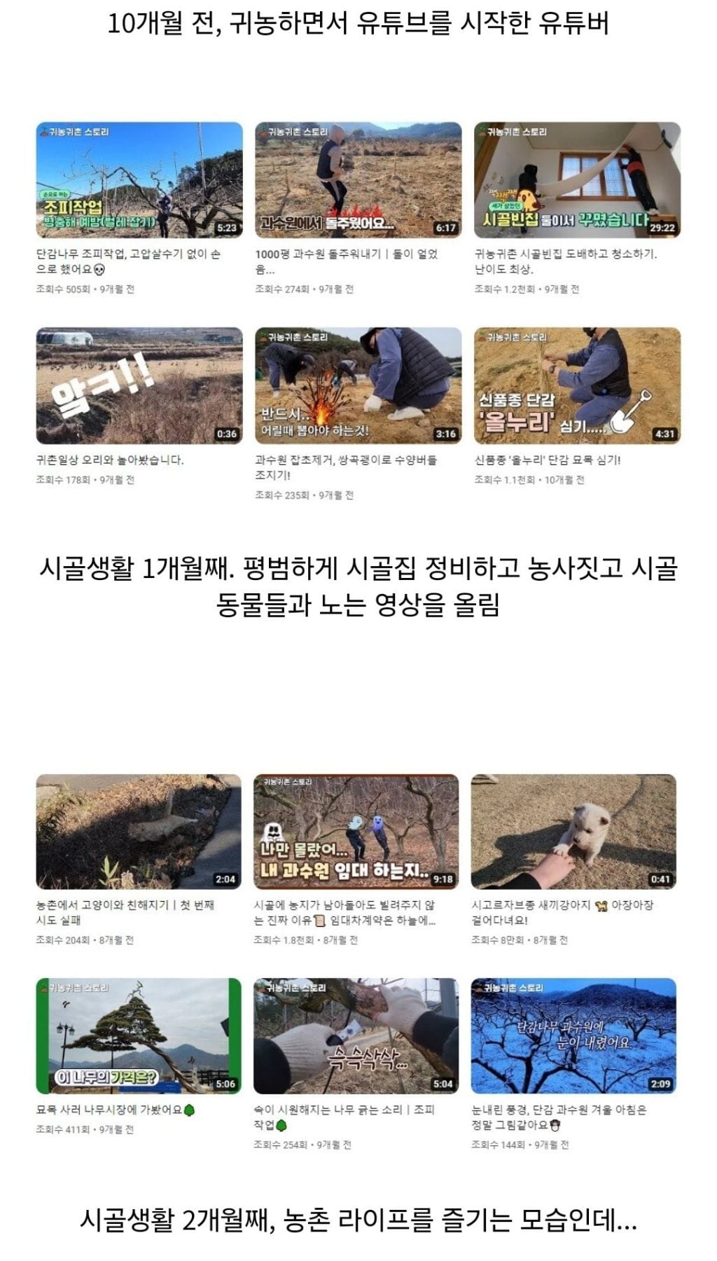 몇달전 귀농했다가 그만 흑화해버린 유튜버